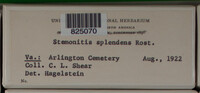 Image Associated With the Occurence